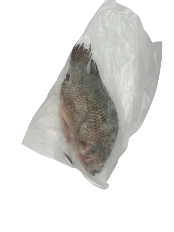 1324 Tilapia G/S 550/750