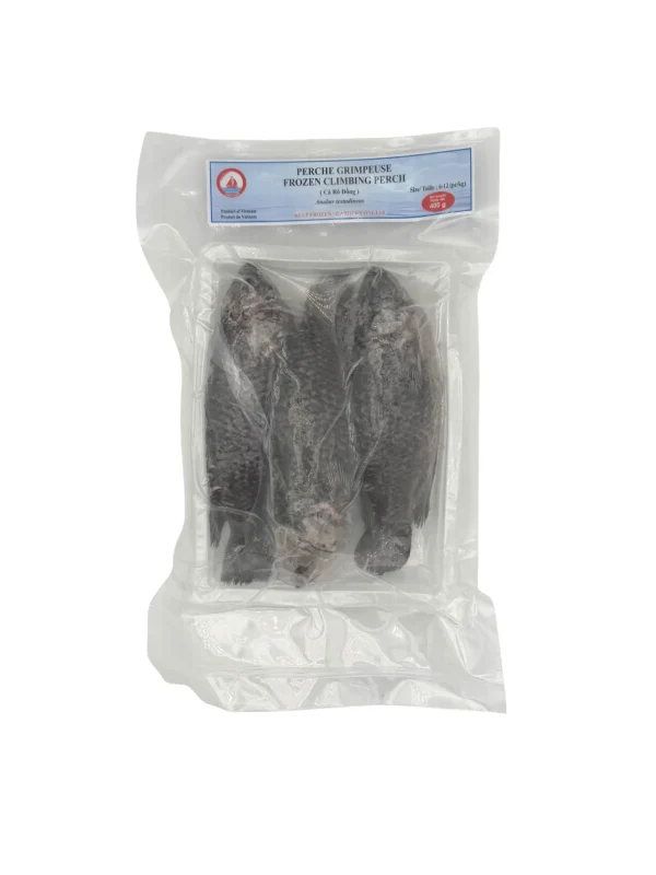 165 Climbing Perch
