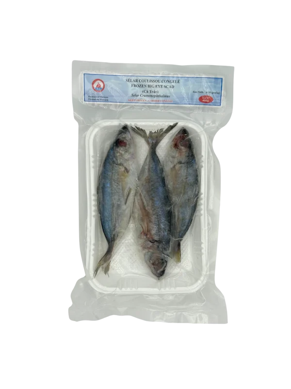 Round Scad (Galunggong)