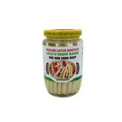 DR00302 Pickled Lotus Rootlet