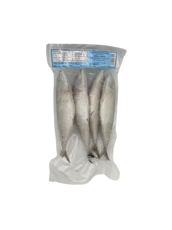 Mackerel Fish Whole