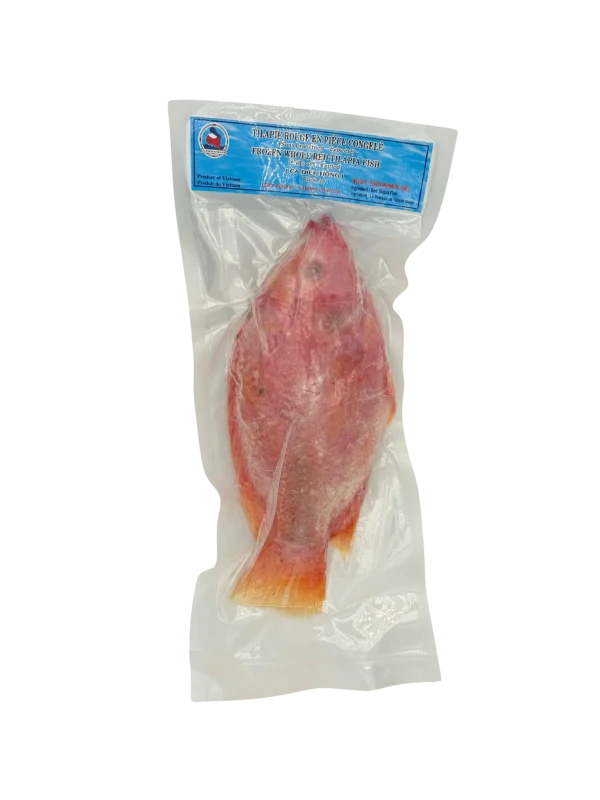 Red Tilapia Fish, Gutted