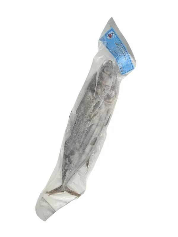 TT15 Skipjack Tuna