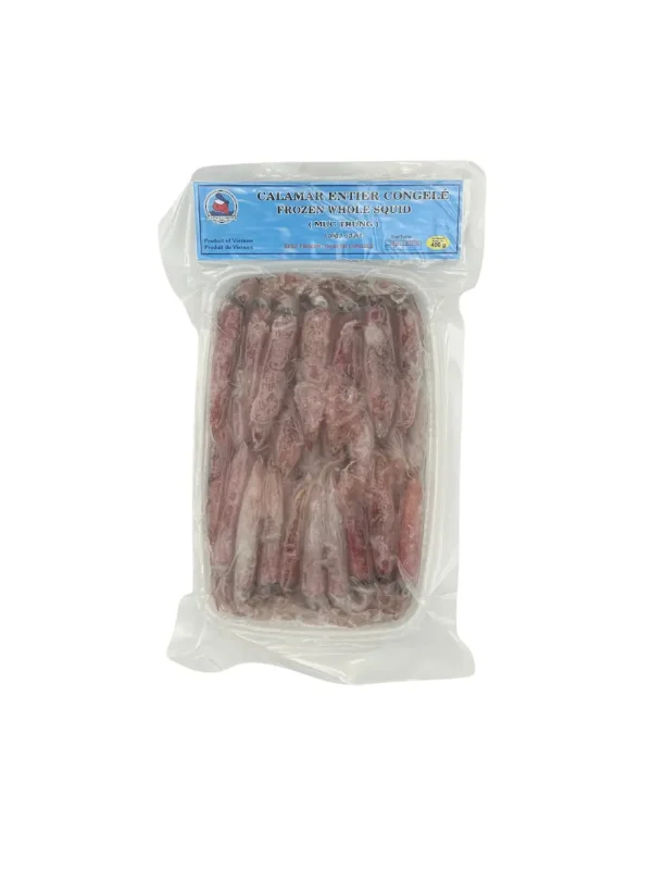 TTL1000 Squid Whole