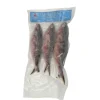 Bartail Fusiler