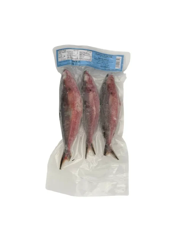 Bartail Fusiler